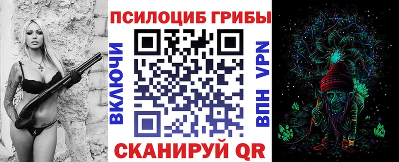 Купить  Асино  Псилоцибиновые грибы Psilocybe 