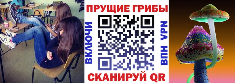 Псилоцибиновые грибы мицелий Асино