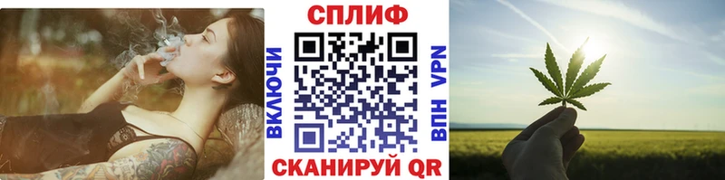 Купить закладки  Асино  Бошки Шишки Ganja 